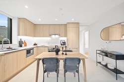 204-4928 Quebec Street  Vancouver, BC V5W 2N2