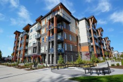 328-12109 223 Street Maple Ridge, BC V2X 5Y6