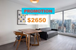 4107-1480 Howe Street Vancouver, BC V6Z 1C4