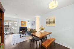 203-555 8th Avenue EVancouver, BC V5T 1S9