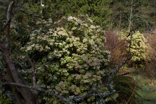 26 Brighton Beach, North Vancouver, BC 