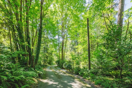 23801 128Th Crescent, Maple Ridge, BC 