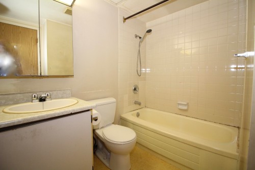 109-550 Royal Avenue, New Westminster, BC - Indoor Photo Showing Bathroom