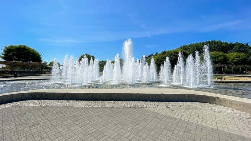 219 42Nd Avenue W, Vancouver, BC 