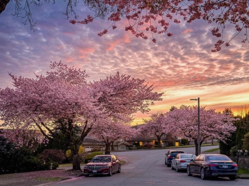 7548 Sequoia Road, Burnaby, BC 