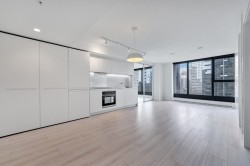 1209-1133 Hornby Street  Vancouver, BC V6Z 1W1
