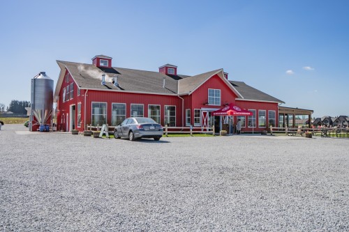 21395 Exeter Avenue, Maple Ridge, BC 