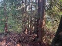 Lot 39 Sandy Hook Road, Sechelt, BC 