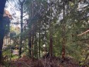 Lot 39 Sandy Hook Road, Sechelt, BC 