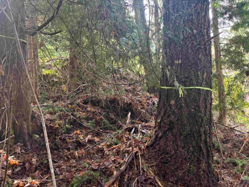 Lot 39 Sandy Hook Road, Sechelt, BC 