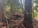 Lot 39 Sandy Hook Road, Sechelt, BC 