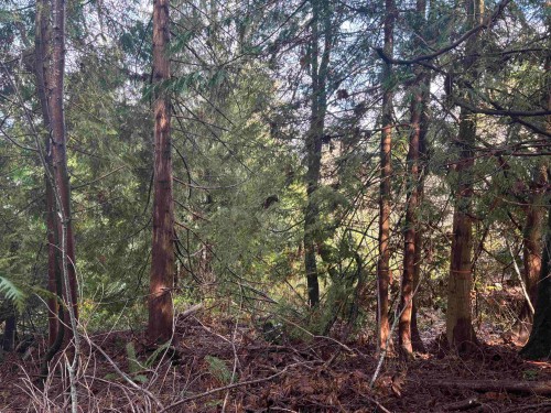 Lot 39 Sandy Hook Road, Sechelt, BC 