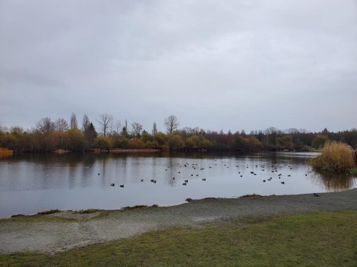 2935 Victoria Drive, Vancouver, BC 