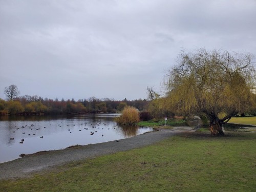 2935 Victoria Drive, Vancouver, BC 