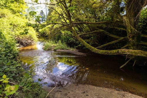 888 Herrmann Street, Coquitlam, BC 