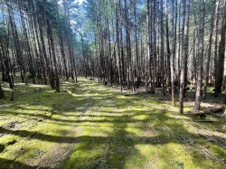 1840 Seymour Road Gabriola Island, BC V0R 1X6