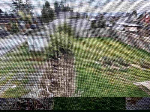 535 8Th Street E, North Vancouver, BC 