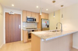 319-38 1st Street W Vancouver, BC V5Y 0K3