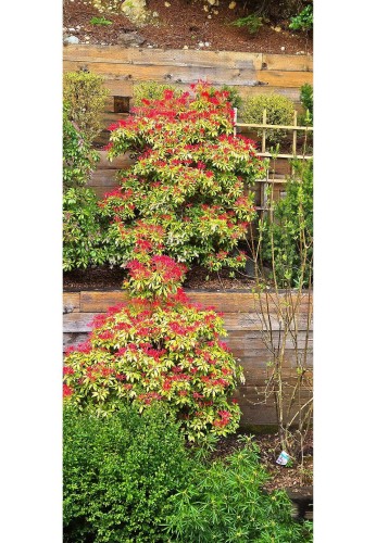 3973 Braemar Place, North Vancouver, BC 