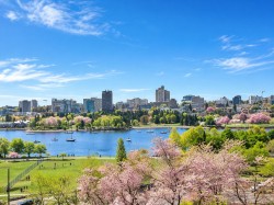 802-1318 Homer Street Vancouver, BC V6B 6A7