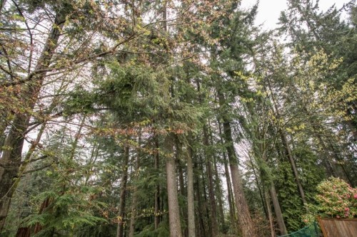 842 Lighthouse Court, Coquitlam, BC 