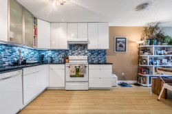 208-808 8 Avenue E Vancouver, BC V5T 1T5