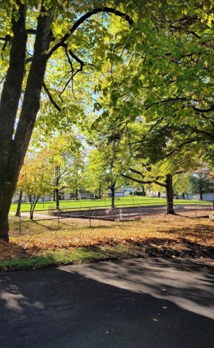 4608 Todd Street, Vancouver, BC 