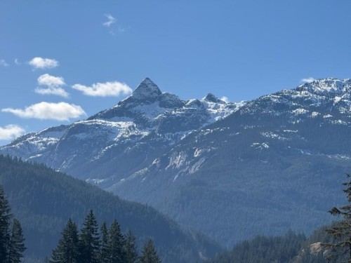 2978 Huckleberry Drive  Squamish, BC V8B 1B2