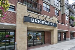 311-11865 227 Street Maple Ridge, BC V2X 6H9