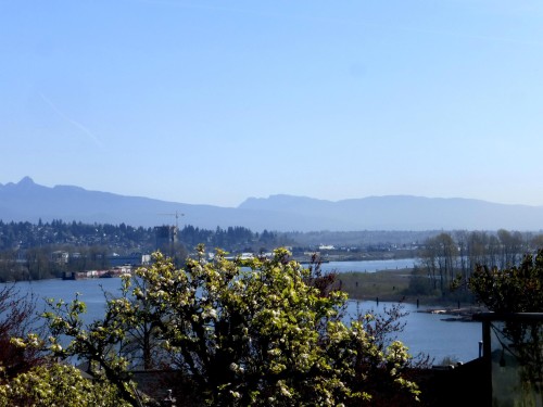 307-70 Richmond Street  New Westminster, BC V3L 5S8