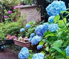 101-7231 Antrim Avenue Burnaby, BC V5J 5H5