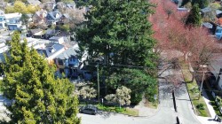 4496 Ontario Street  Vancouver, BC V5V 3H1