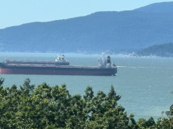 1201-2077 Nelson Street  Vancouver, BC V6G 2Y2