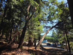 488 Letour Road Mayne Island, BC V0N 2J2