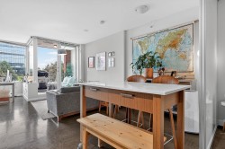 417-221 Union Street  Vancouver, BC V6A 0B4