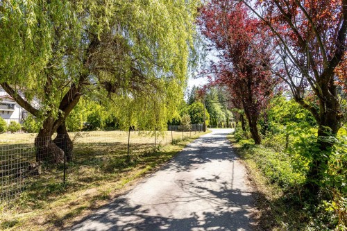 22909 132 Avenue, Maple Ridge, BC 