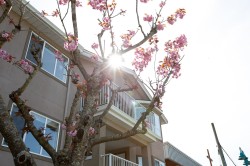 307-5711 Mermaid Street Sechelt, BC V7Z 0J6