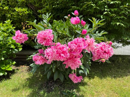 11 Harbour Place, Port Moody, BC 