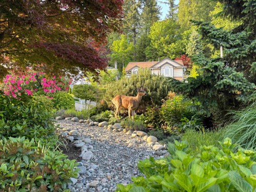 11 Harbour Place, Port Moody, BC 