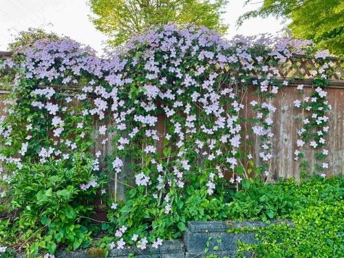 11 Harbour Place, Port Moody, BC 