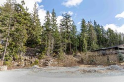 9112 Corduroy Run Court Whistler, BC V8E 1M1