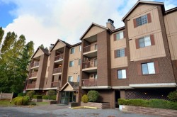 111-8511 Westminster Highway  Richmond, BC V6X 3H7