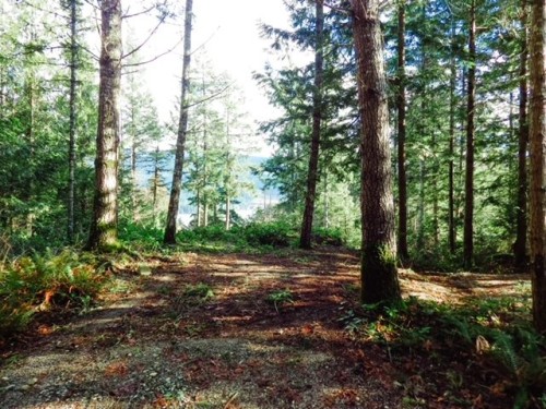 6151 Harbour Way, Sechelt, BC 