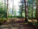 6151 Harbour Way, Sechelt, BC 