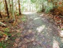 6151 Harbour Way, Sechelt, BC 