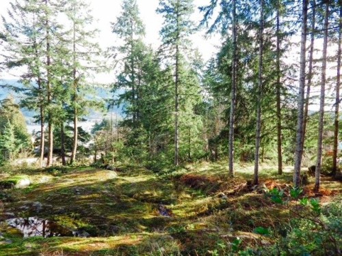 6151 Harbour Way, Sechelt, BC 