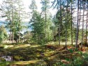 6151 Harbour Way, Sechelt, BC 