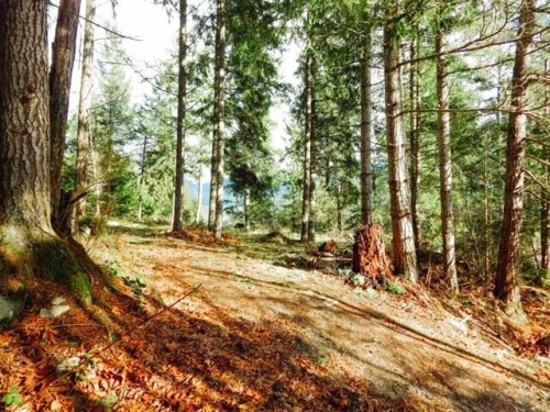 6151 Harbour Way, Sechelt, BC 
