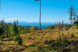 Lot 1 Innisfree Lane Bowen Island, BC V0N 1G2