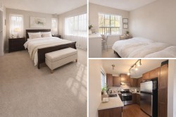 203-2951 Silver Springs Boulevard  Coquitlam, BC V3E 3S4